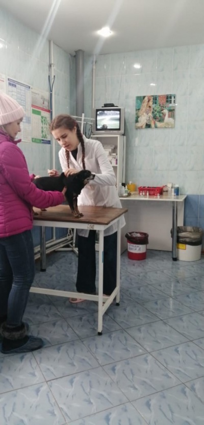 На Усть-Илимской ветстанции прошла практику студентка Иркутского аграрного Университета