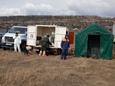 Служба ветеринарии Иркутской области приняла участие в командно-штабных учениях МЧС России
