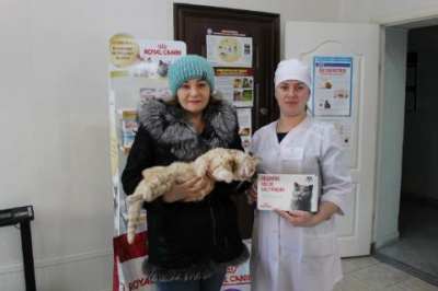 Сегодня Всемирный День кастрации и стерилизации животных 