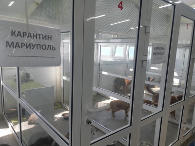 Иркутские ветврачи обследовали животных из Мариуполя