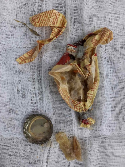 Иркутские ветврачи извлекли инородные предметы из желудка спаниеля