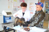 Президент России учредил почетное звание «Заслуженный ветеринарный врач РФ»