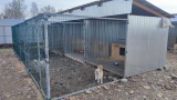 В Иркутской области три НКО получат гранты на создание приютов для животных без владельцев