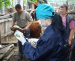 В Иркутской области ветеринарные специалисты приступили к проведению весенних противоэпизоотических мероприятий 
