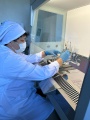 В Боханской ветлаборатории выросло количество исследований