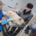 Тулунские ветеринары спасли собаку с сильным переохлаждением
