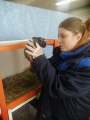 Ветспециалисты Усольской СББЖ обследовали животных, участвующих в передвижной выставке