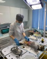 В Усть-Куте ветеринары прооперировали кошку, наевшуюся ниток