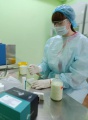 Ветлаборатория Усольской СББЖ вдвое увеличила количество исследований молока