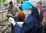 В Иркутской области утвержден план по обеспечению эпизоотического благополучия и совершенствование ветеринарной безопасности