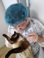 Тулунские ветеринары впервые провели эзофагостомию коту