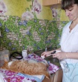 В поселке Тубинский побывал ветеринарный десант