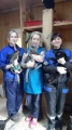 Хомутовские ветврачи провели массовое чипирование кошек