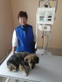 Для Тулунской станции по борьбе с болезнями животных приобрели цифровой рентген-аппарат