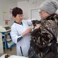Служба ветеринарии Иркутской области продолжает работу по повышению качества предоставляемых ветеринарных услуг на территории региона