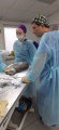 На Иркутской городской ветстанции прошел курс по хирургии животных