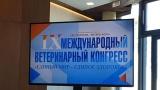 Делегация службы ветеринарии Иркутской области принимает участие в IX Международном ветеринарном конгрессе «Единый мир-единое здоровье» 
